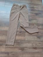 Leuke merk pantalon 34, Ophalen of Verzenden, Nieuw, Maat 34 (XS) of kleiner