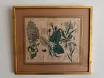 Vier ingelijste botanische illustraties, Huis en Inrichting, Woonaccessoires | Schilderijen, Tekeningen en Foto's, Ophalen, Minder dan 50 cm