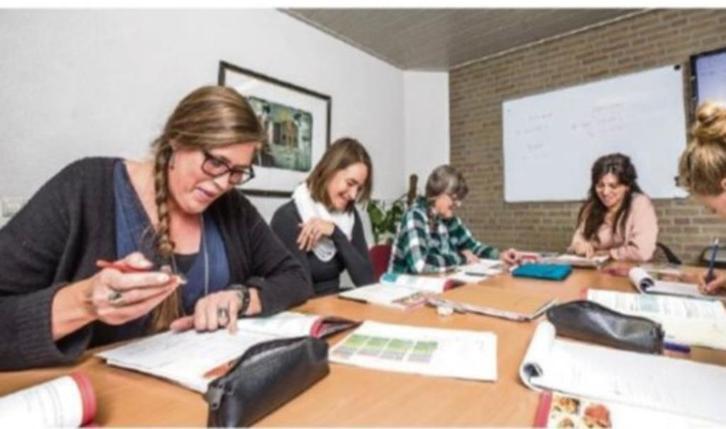 Cursus Spaans, beginners- gevorderden-Conversatielessen, Diensten en Vakmensen, Bijles, Privé-les en Taalles, Bijles, Taalles