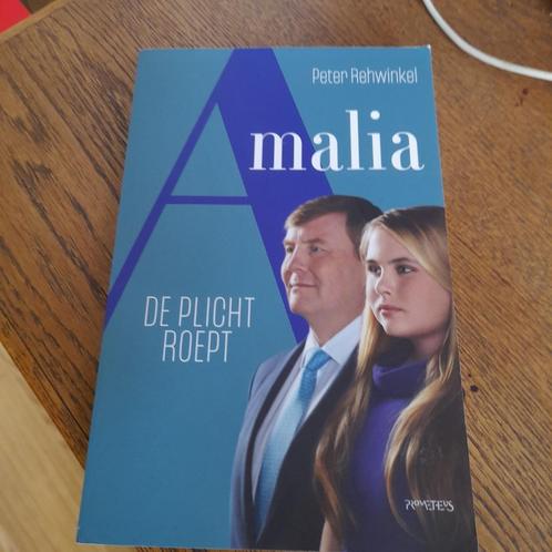 Peter Rehwinkel - Amalia, Boeken, Politiek en Maatschappij, Zo goed als nieuw, Maatschappij en Samenleving, Nederland, Ophalen of Verzenden