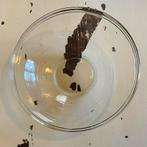 Glazen schaal, Ophalen, Rond, Glas