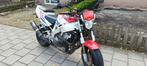 Honda CBR 900RR Fireblade '95 - Klassieker!, Ophalen of Verzenden, Gebruikt