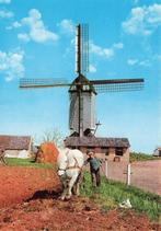 Nederasselt, Molen, korenmolen, Ophalen of Verzenden, Ongelopen, Gelderland