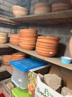 Nestschalen postduiven, Dieren en Toebehoren, Meerdere dieren, Postduif