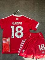 Liverpool FC Tenue met sokken 164/176 Gakpo, Set, Maat XS of kleiner, Nieuw, Ophalen of Verzenden