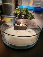 uniek hand gemaakte decoratie vissende kat bij bonsai boom, Ophalen, Nieuw