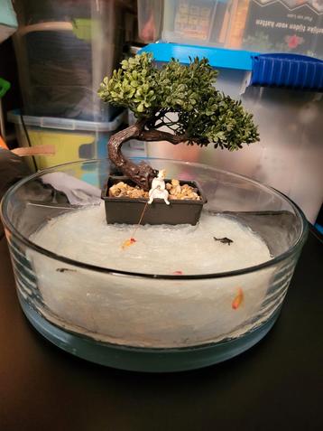 uniek hand gemaakte decoratie vissende kat bij bonsai boom beschikbaar voor biedingen