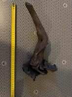 Driftwood, Dieren en Toebehoren, Ophalen, Plant(en), Steen of Hout