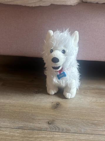 Paco de hond knuffel  beschikbaar voor biedingen