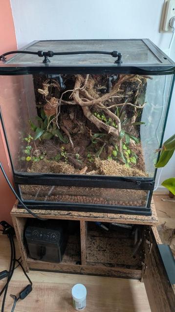 Terrarium 45 x 45 x 45 cm beschikbaar voor biedingen