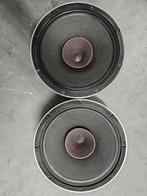 Vinrage Beyma 12AG-100 – 12 inch – 8 Ohm –, Audio, Tv en Foto, Luidsprekers, Ophalen of Verzenden, 120 watt of meer, Front, Rear of Stereo speakers