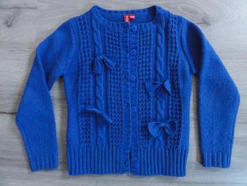 Vest maat 104 / 110 meisje beschikbaar voor biedingen