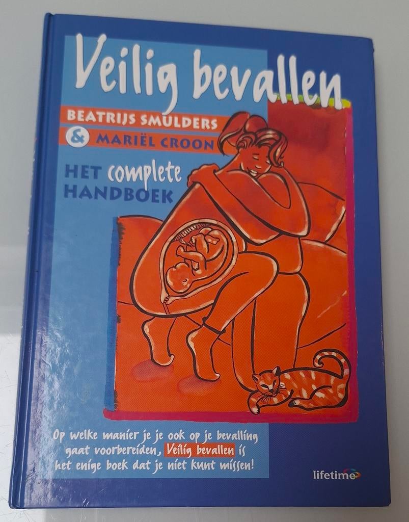 Veilig Bevallen - Het complete handboek-Beatrijs Smulders, Ophalen of Verzenden, Zo goed als nieuw, Zwangerschap en Bevalling