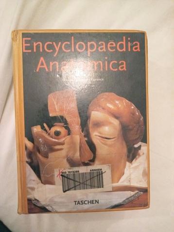  Kadotip encyclopaedia anatomica Taschen