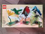 LEGO Ideas Birds 🦜 21301 - NIEUW!, Kinderen en Baby's, Speelgoed | Duplo en Lego, Ophalen of Verzenden, Nieuw, Complete set, Lego