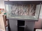 Aquarium bak en kast, Dieren en Toebehoren, Vissen | Aquaria en Toebehoren, Ophalen, Leeg aquarium