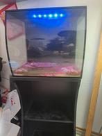 Fluval aquarium 57 liter, Ophalen, Zo goed als nieuw, Leeg aquarium