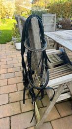 Hoofdstel cob, Dieren en Toebehoren, Ophalen of Verzenden, Gebruikt