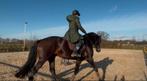 PLEK VOOR ZADELMAK MAKEN EN ONGEWENST GEDRAG OPLOSSEN!, Dieren en Toebehoren, Paarden, Meerdere dieren, Recreatiepaard, 3 tot 6 jaar