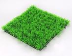 Groene Sier Gras Plant Aquarium / Sier Nep Waterplant Vissen, Verzenden, Nieuw, Plant(en), Steen of Hout
