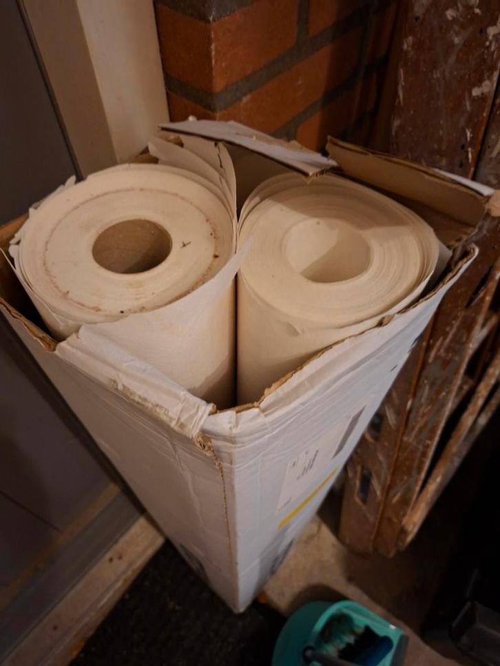 Vliesbehang PG140, Doe-het-zelf en Verbouw, Verf, Beits en Lak, Nieuw, Wit, Ophalen of Verzenden