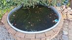 Complete kleine Koivijver incl filter en pompen, Tuin en Terras, Ophalen, Zo goed als nieuw
