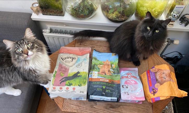 Kattenvoer, Dieren en Toebehoren, Kattenvoerbakken en Drinkbakken, Ophalen of Verzenden