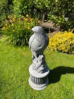 Tuinbeeld: Stenen Vogel op Sokkel, Ophalen, Zo goed als nieuw, Beton, Dierenbeeld