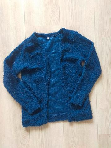 Zgan! Leuk blauw harig vest van Zeeman! Mt 134/140
 beschikbaar voor biedingen