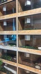 Terrariums 60x40x40, Dieren en Toebehoren, Reptielen en Amfibieën | Toebehoren, Verzenden, Terrarium of Paludarium