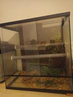 Klein terrarium, Dieren en Toebehoren, Ophalen, Gebruikt, Terrarium of Paludarium
