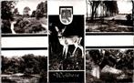 Groeten uit Wolfheze - 3 ansichtkaarten, Verzenden, 1940 tot 1960, Ongelopen, Gelderland