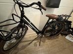 Giant Triple X E+ Dames E-bike - Zonder Accu, Fietsen en Brommers, Fietsen | Dames | Damesfietsen, Ophalen, Gebruikt, Giant, Versnellingen