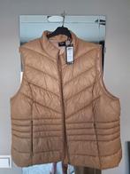 Vero moda bodywarmer maat 52 nieuw, Kleding | Dames, Bodywarmers, Ophalen of Verzenden, Nieuw, Maat 46/48 (XL) of groter, Zwart