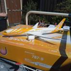 Boeing 787 flyscoot Phoenix 1:200 metaal, Ophalen of Verzenden, Nieuw, Schaalmodel