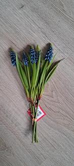 Blauwe druifjes, -, -, Nieuw, Ophalen of Verzenden