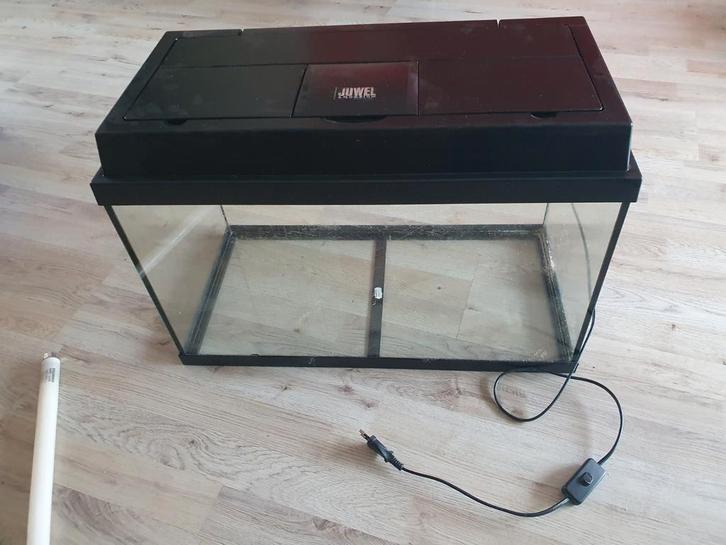 JUWEL aquarium 60L met kast, Dieren en Toebehoren, Vissen | Aquaria en Toebehoren, Zo goed als nieuw, Leeg aquarium, Ophalen