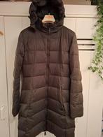 Donkergroene winter Damesjas Giacomo, Kleding | Dames, Maat 46/48 (XL) of groter, Ophalen of Verzenden, Groen, Onbekend