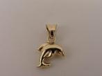 Gouden hanger dolfijn                                    G47, Gebruikt, ., Ophalen of Verzenden, .
