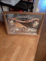 Heineken spiegel, Ophalen of Verzenden, Rechthoekig