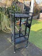 Papegaaienkooi, Ophalen, Gebruikt, Metaal, Vogelkooi