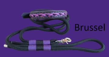 Nieuw - handgemaakt - halsband + lijn - tuigleer - paracord beschikbaar voor biedingen
