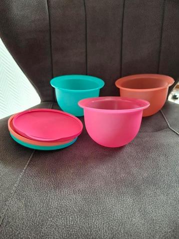 Tupperware bakjes met deksel beschikbaar voor biedingen