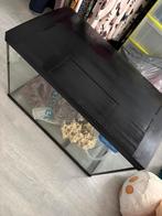 Aquarium 100 L met toebehoren, Dieren en Toebehoren, Vissen | Aquaria en Toebehoren, Ophalen, Gebruikt, Leeg aquarium