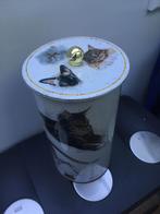 Limited edition voorraadblik Royal Canin, Ophalen, Kat