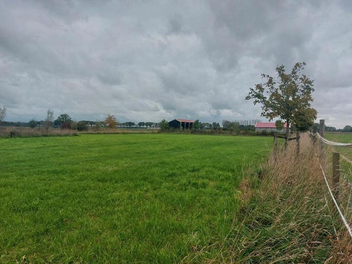 Stalling & weidegang aangeboden., Dieren en Toebehoren, Stalling en Weidegang, Opfok, Stalling, Weidegang, 2 of 3 paarden of pony's