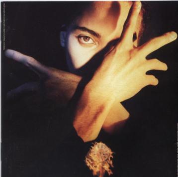 Terence Trent D'Arby- Neither Fish Nor Flesh beschikbaar voor biedingen