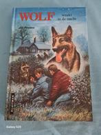Jan Postma - Wolf waakt in de nacht, Boeken, Kinderboeken | Jeugd | 10 tot 12 jaar, Jan Postma, Ophalen of Verzenden, Zo goed als nieuw