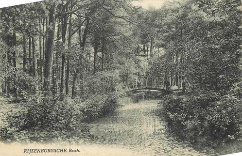 (377-109-011) Rijsenburg, Verzamelen, Ansichtkaarten | Nederland, Utrecht, Verzenden
