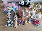 Heel veel knuffels, Kinderen en Baby's, Speelgoed | Knuffels en Pluche, Ophalen of Verzenden, Zo goed als nieuw, Beer
